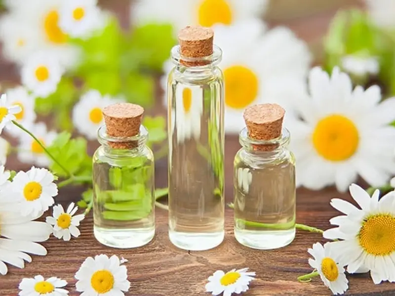 خواص بابونه برای مو