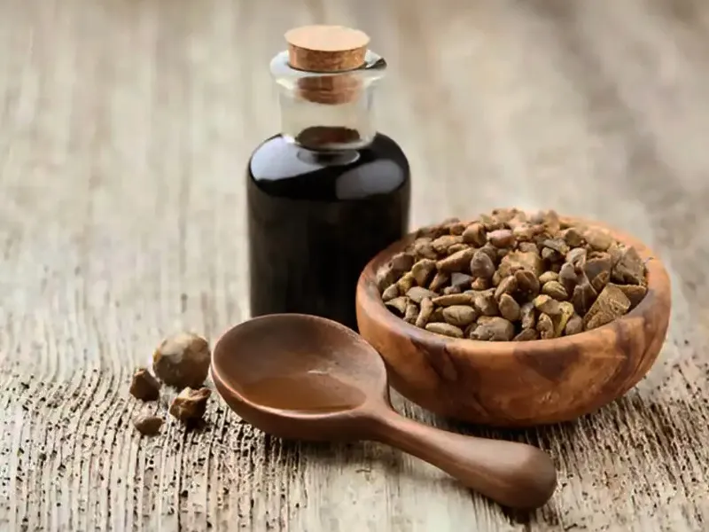 تاریخچه‌ی استفاده از بره موم