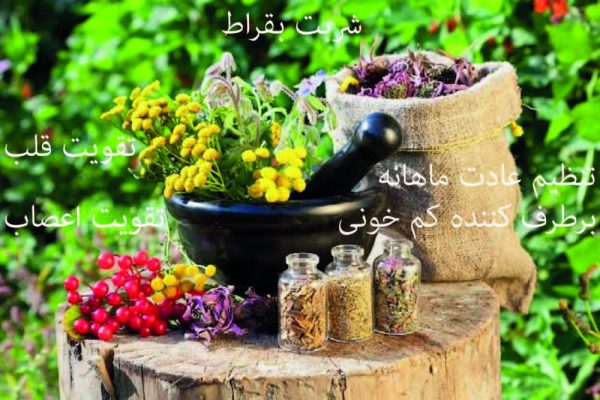 شربت تقویت قوای عمومی بدن - Image 2