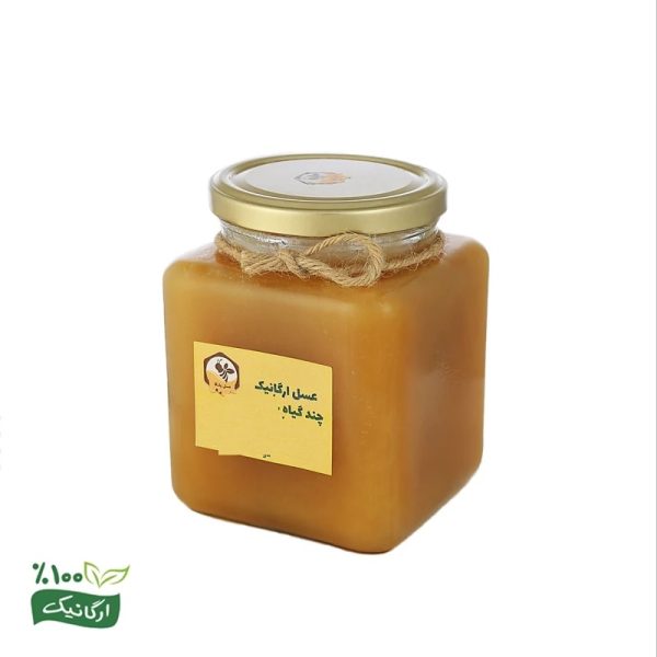 عسل اورگانیک چند گیاه - Image 2